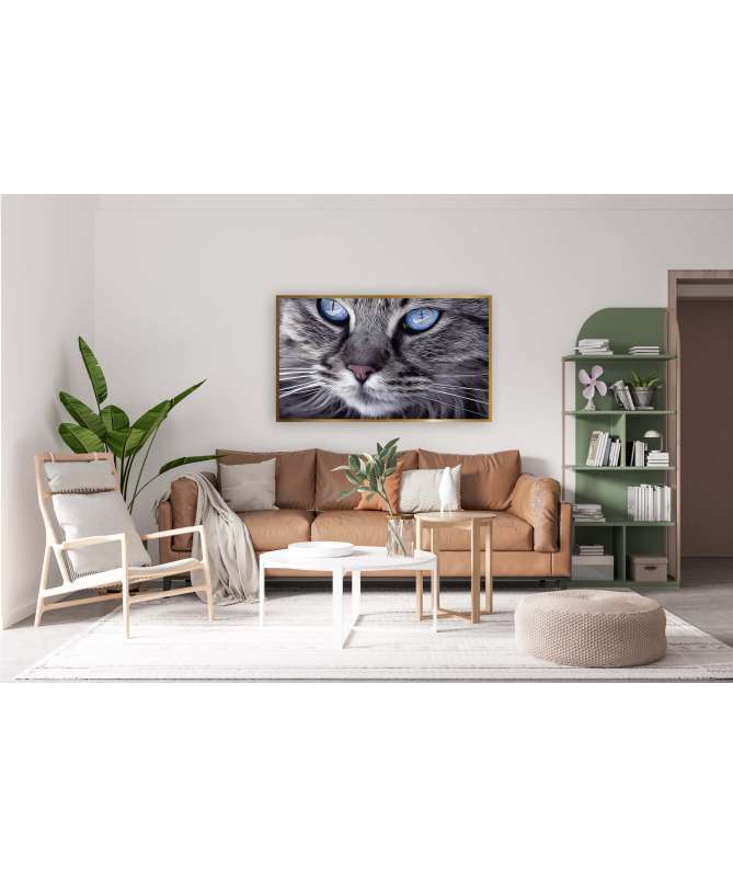 Tableau décoratif Chaton Prêt