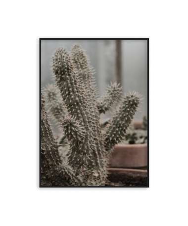 Poster cactus
