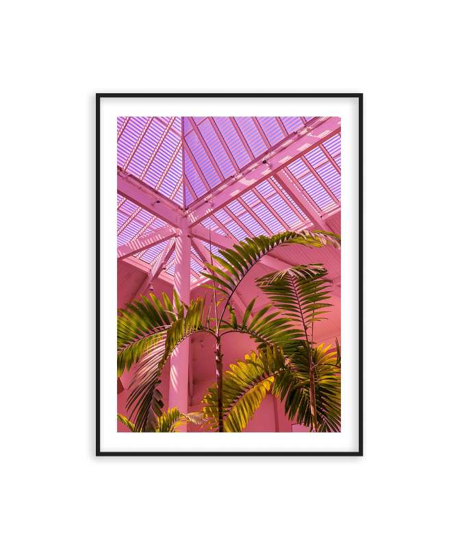 Poster palmier en rose