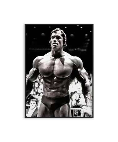 Affiche d'Arnold Schwarzenegger