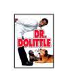 Poster Dr Dolittle