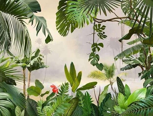 Papier peint tropical de la forêt
