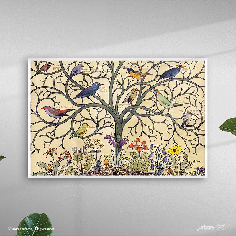 Tableau décoratif Oiseaux