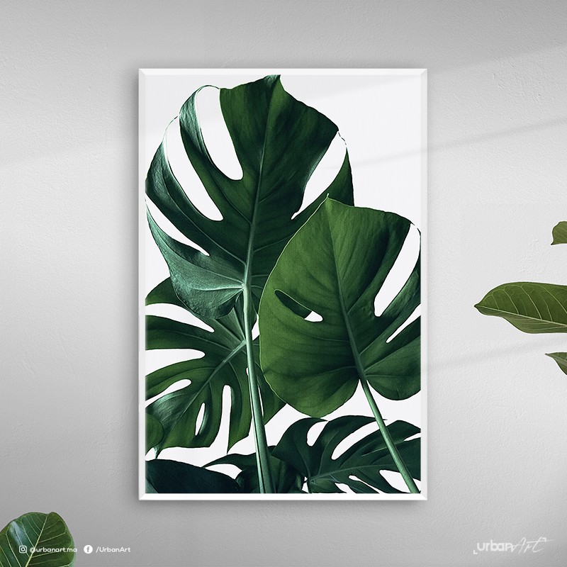 Tableau décoratif tropicale vert