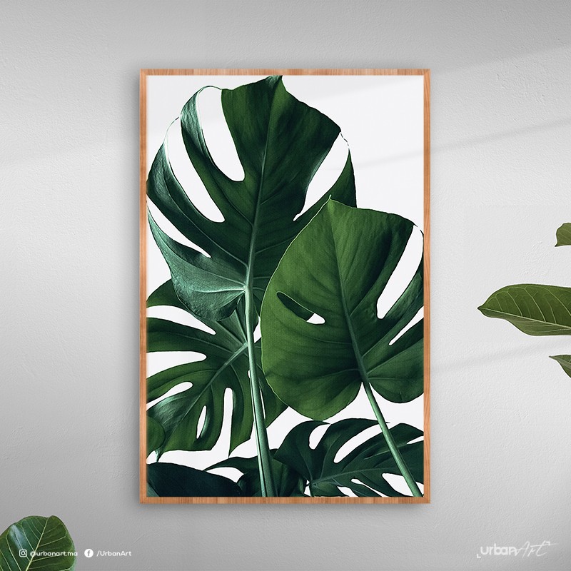 Tableau décoratif tropicale vert