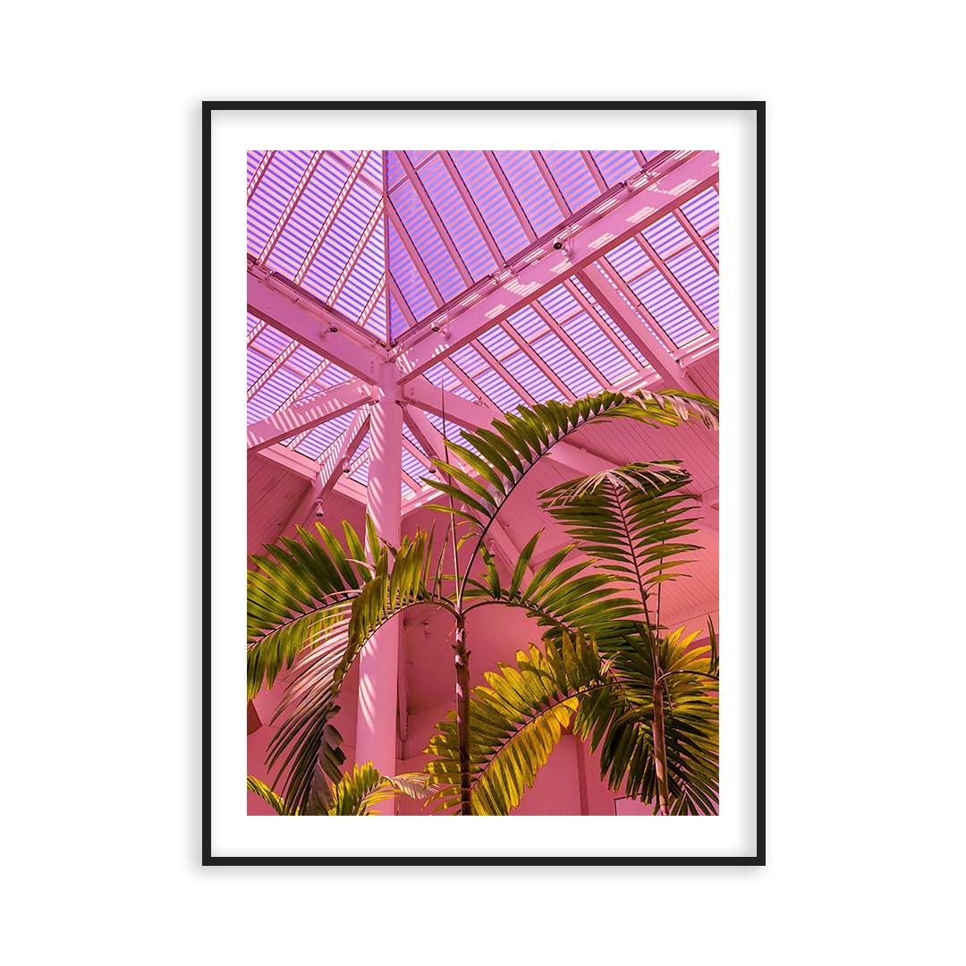Poster palmier en rose