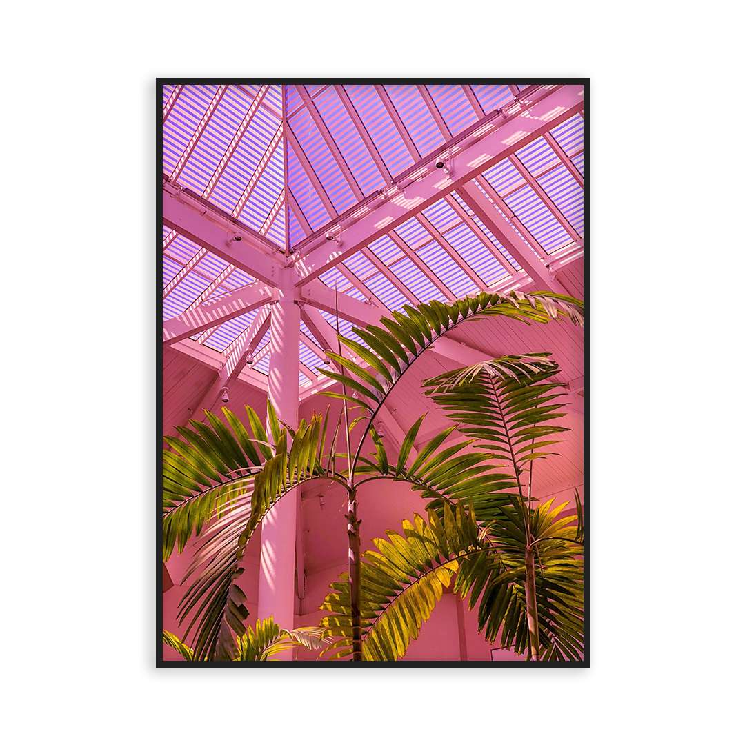 Poster palmier en rose