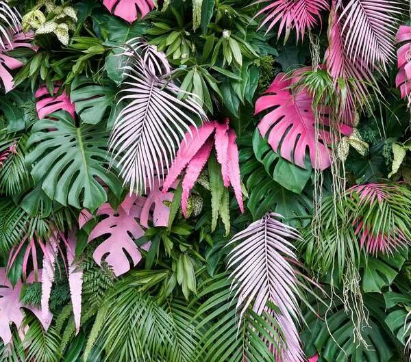 Papier peint jasmine