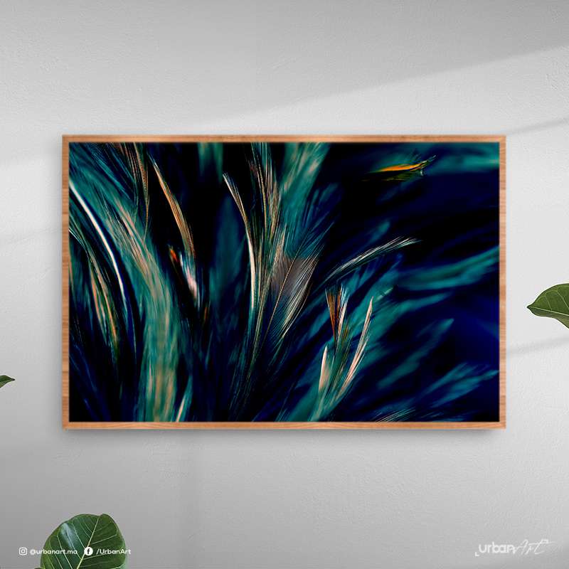 Tableau décoratif Chiken feathers
