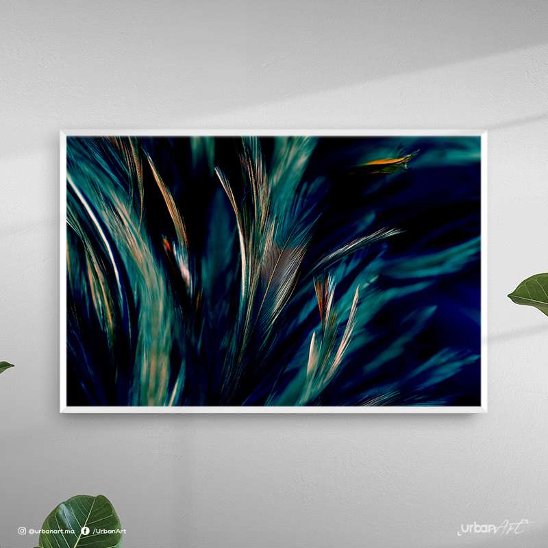Tableau décoratif Chiken feathers