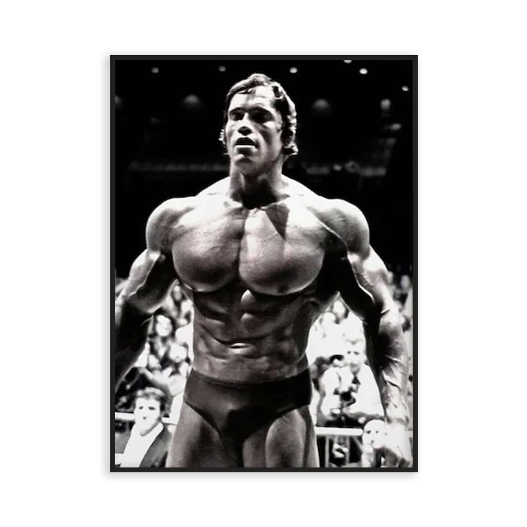 Poster d'Arnold Schwarzenegger