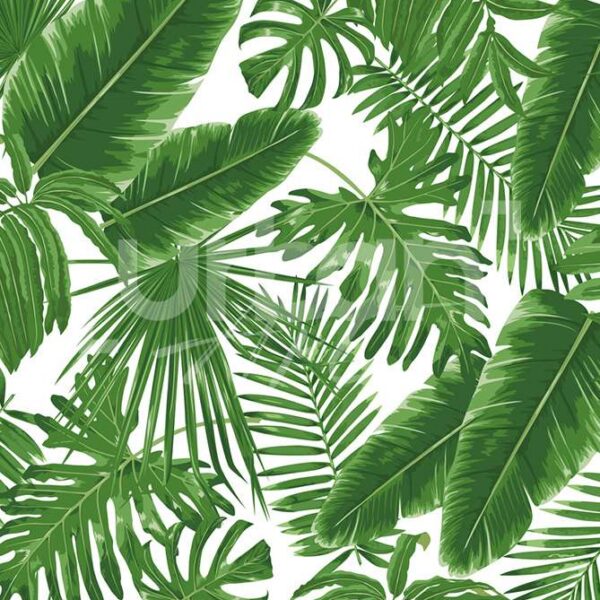 Papier peint Feuilles Exotiques