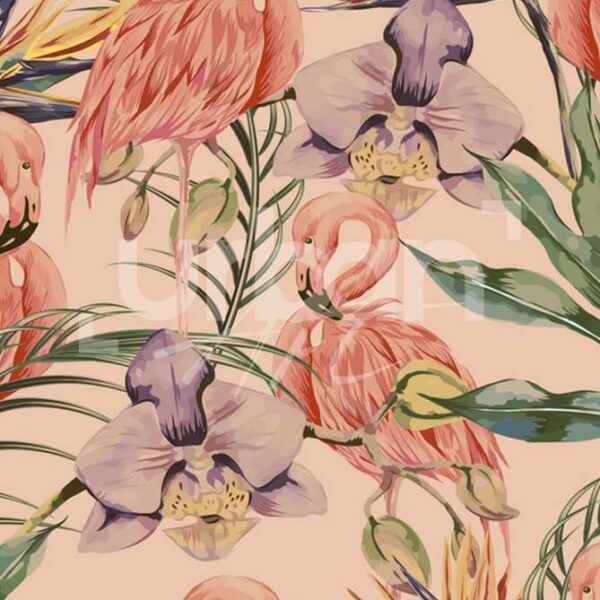 Papier peint tropicales flamants