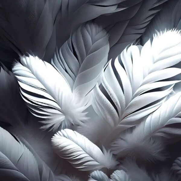 Papier peint Plumes brillantes