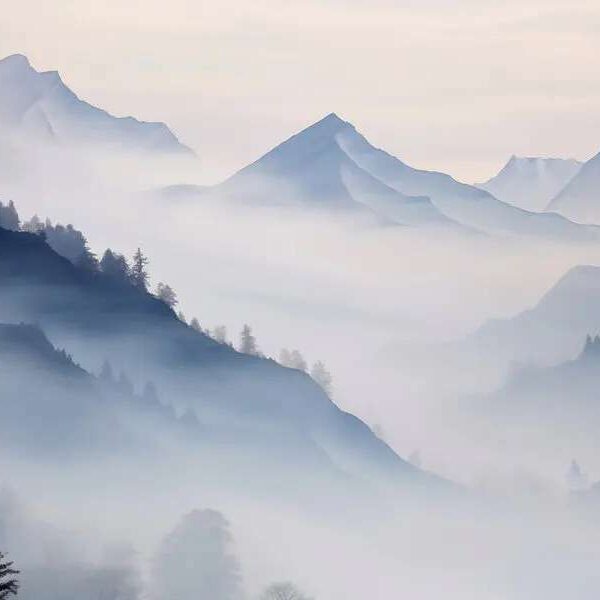 Papier peint Chaîne de montagnes avec arbres et brouillard