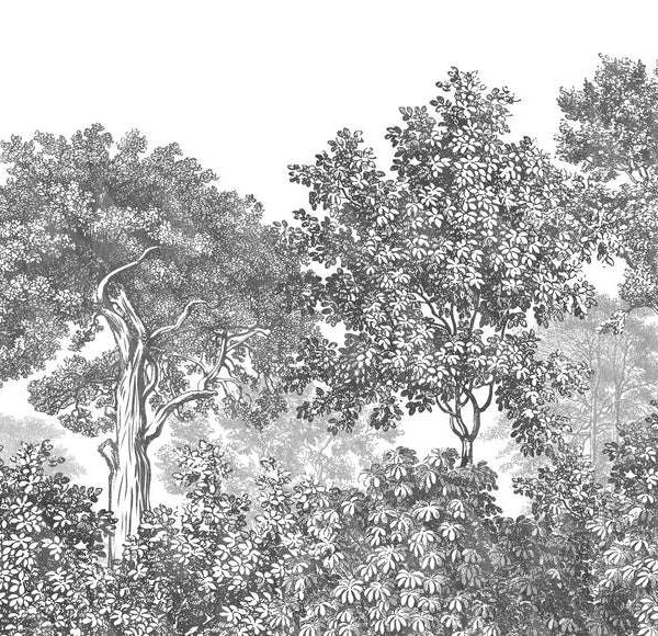 Papier peint paysage forêt gravure noir et blanc